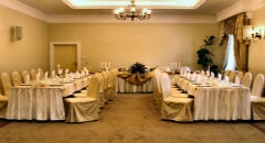 Sala na wesele w obiekcie: Hotel Palatium
